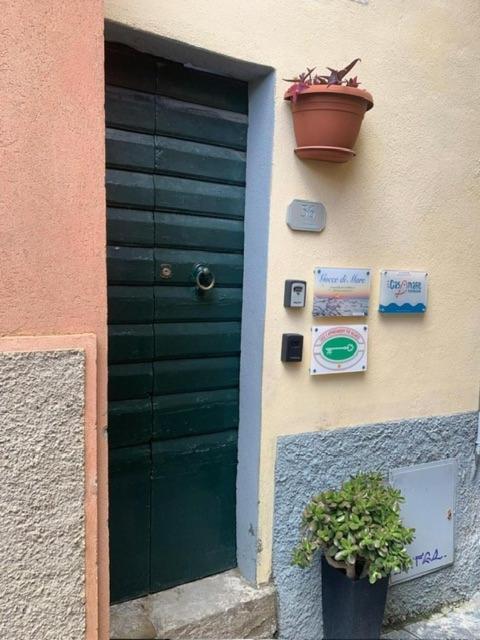 Ferienwohnung Casamare Riomaggiore Exterior foto